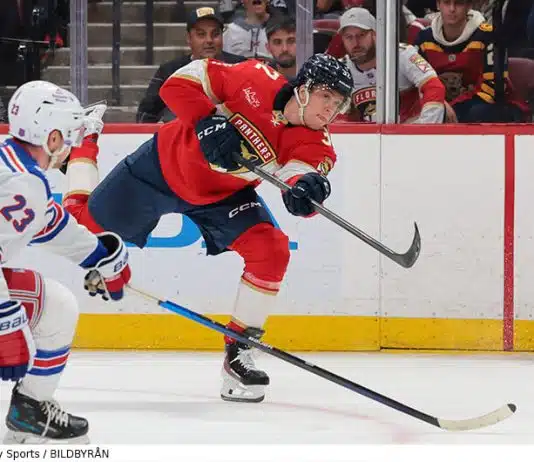 Succé för doldisen – så gick det för svenskarna i nattens NHL-matcher Succé för Wilmer Skoog